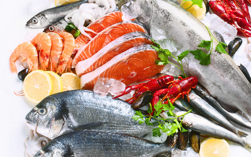fish on a plate
