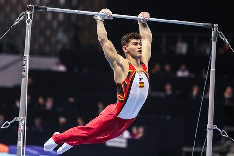horizontal bar gymnastics