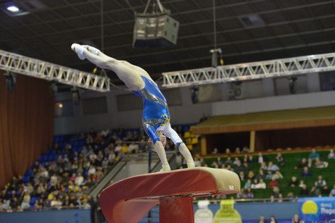 vault gymnastics