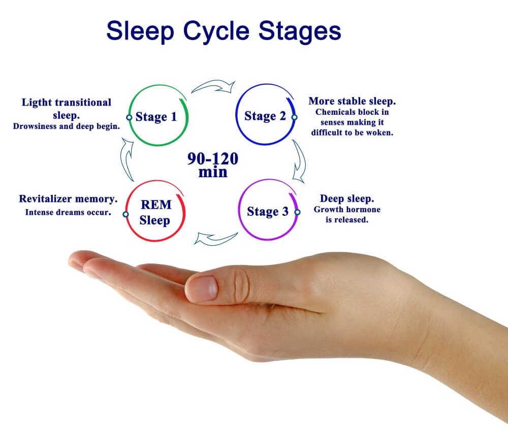 3 Stages of Sleep