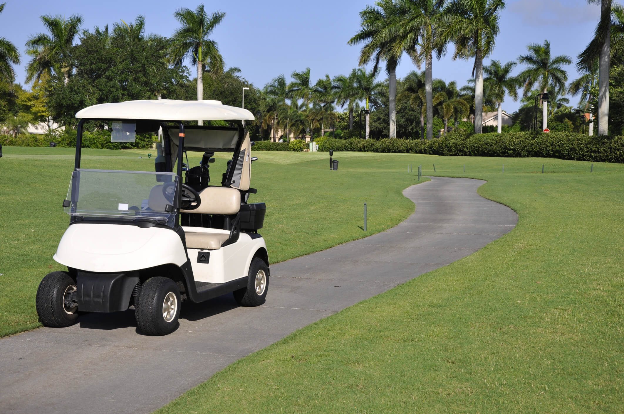Golf cart