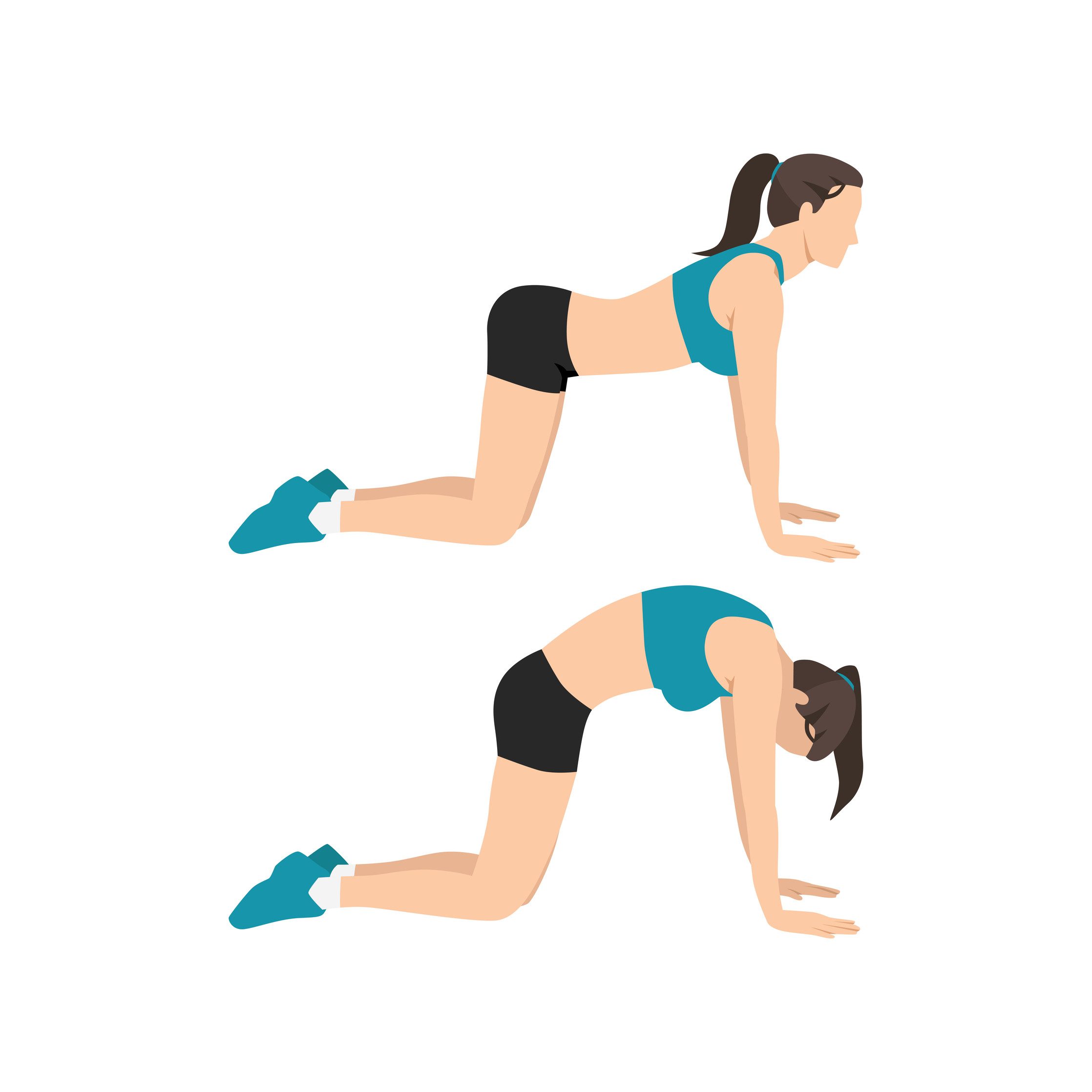 cat and camel exercise