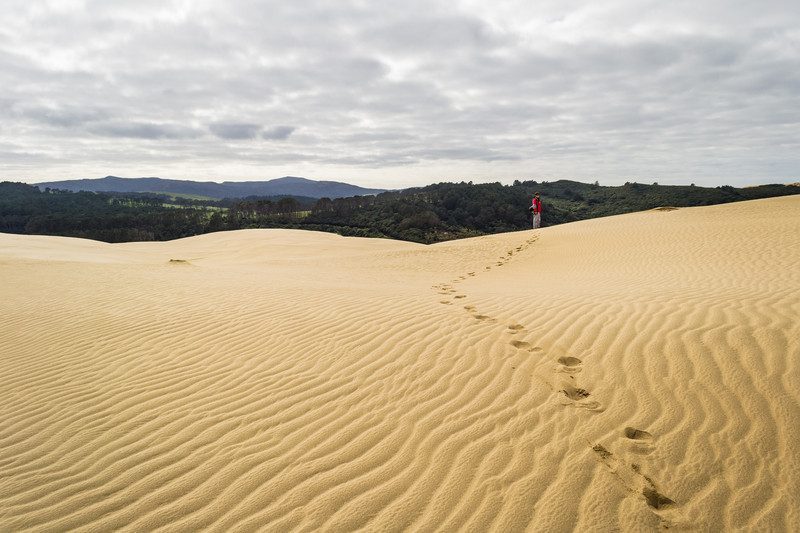 walking in the desert