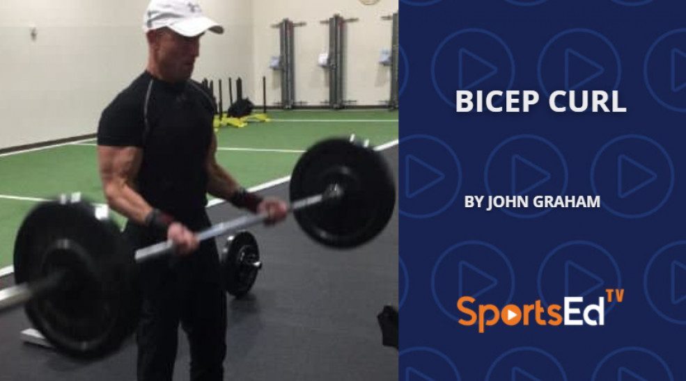 The Bicep Curl